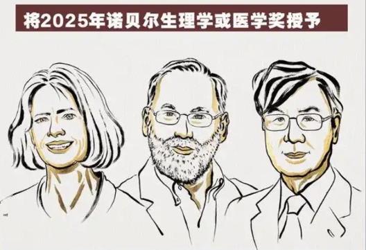 2025ŵ��������ѧ��ҽѧ����